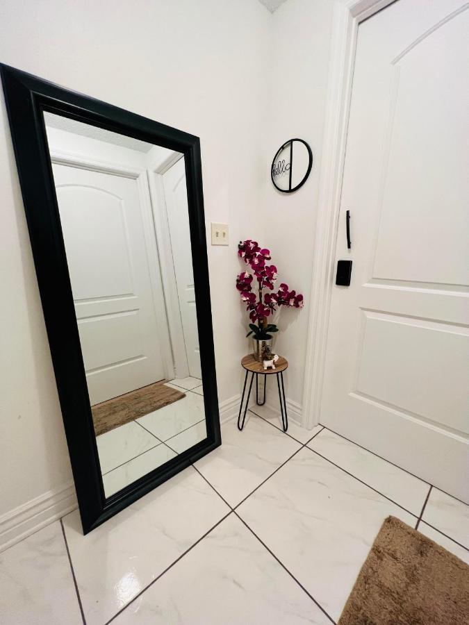 Jk Royal Studio - Great Location Apartment แทมปา ภายนอก รูปภาพ